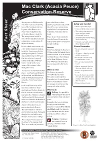 Mac Clark (Acacia Peuce) Conservation Reserve Fact Sheet