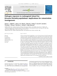 Pathogen Exposure in Endangered Island Fox (Urocyon Littoralis) Populations: Implications for Conservation Management