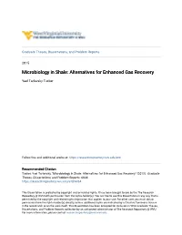 Microbiology in Shale: Alternatives for Enhanced Gas Recovery