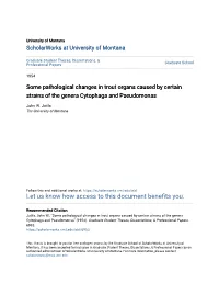Some Pathological Changes in Trout Organs Caused by Certain Strains of the Genera Cytophaga and Pseudomonas