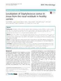 Staphylococcus Aureus