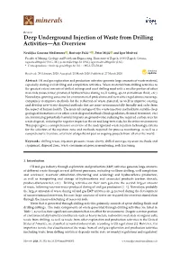 Deep Underground Injection of Waste from Drilling Activities—An Overview