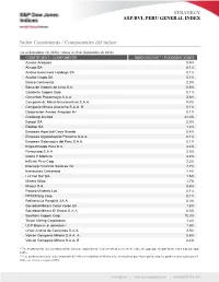 Index Constituents / Componentes Del Índice