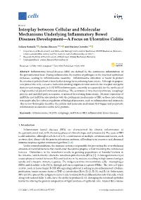 Interplay Between Cellular and Molecular Mechanisms Underlying Inﬂammatory Bowel Diseases Development—A Focus on Ulcerative Colitis