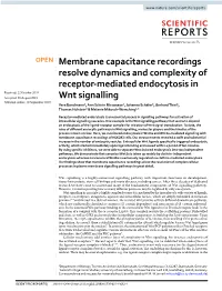 Membrane Capacitance Recordings Resolve Dynamics and Complexity Of