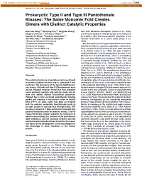 Prokaryotic Type II and Type III Pantothenate Kinases: the Same Monomer Fold Creates Dimers with Distinct Catalytic Properties