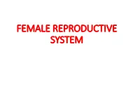 Endometrium and Released