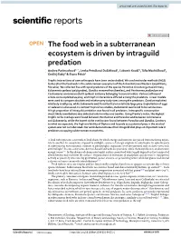 The Food Web in a Subterranean Ecosystem Is Driven by Intraguild