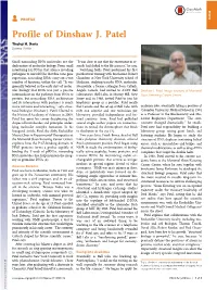 Profile of Dinshaw J. Patel
