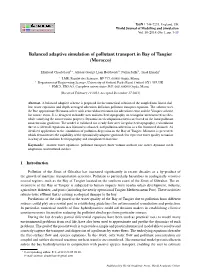 Balanced Adaptive Simulation of Pollutant Transport in Bay of Tangier (Morocco)