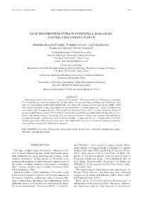 Leaf Indumentum Types in Potentilla (Rosaceae) and Related Genera in Iran