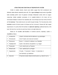 STRUCTURE and FUNCTIONS of RESPIRATORY SYSTEM Similar To