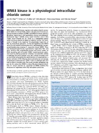 WNK4 Kinase Is a Physiological Intracellular Chloride Sensor