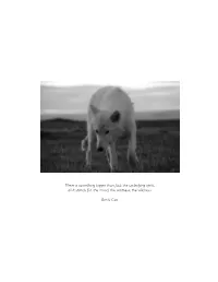 There Is Something Bigger Than Fact: the Underlying Spirit, All It Stands For, the Mood, the Vastness, the Wildness
