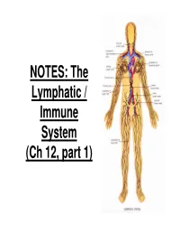 NOTES: the Lymphatic / Immune System (Ch 12, Part 1) the Lymphatic System Is Closely Associated with the Cardiovascular System