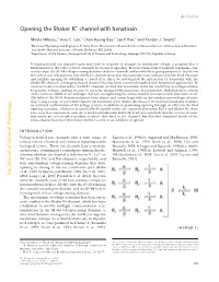 Opening the Shaker K+ Channel with Hanatoxin