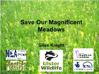 Save Our Magnificent Meadows