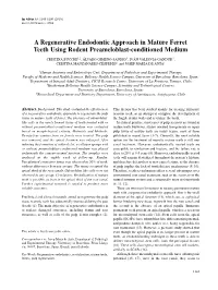 A Regenerative Endodontic Approach in Mature Ferret Teeth Using