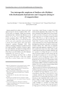 Two Interspecific Amplexus of Smilisca Sila (Hylidae) with Strabomantis Bufoniformis and Craugastor Fitzingeri (Craugastoridae)