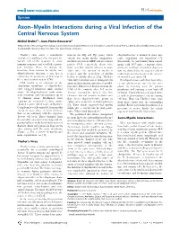 Axon–Myelin Interactions During a Viral Infection of the Central Nervous System