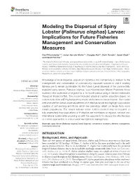 Modeling the Dispersal of Spiny Lobster (Palinurus Elephas) Larvae: Implications for Future Fisheries Management and Conservation Measures