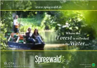 Our Image Brochure (PDF, 11