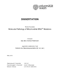 Dissertation