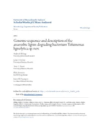 Genome Sequence and Description of the Anaerobic Lignin-Degrading Bacterium Tolumonas Lignolytica Sp