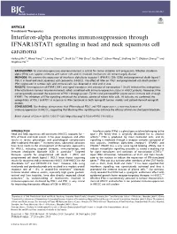 Interferon-Alpha Promotes Immunosuppression Through IFNAR1/STAT1 Signalling in Head and Neck Squamous Cell Carcinoma