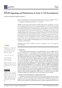 MTOR Signaling and Metabolism in Early T Cell Development