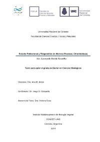 Tesis Amarilla, Leonardo David.Pdf (5.496Mb)