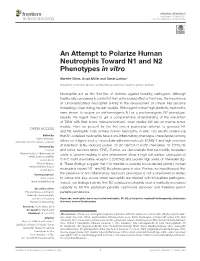 An Attempt to Polarize Human Neutrophils Toward N1 and N2 Phenotypes in Vitro