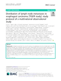Distribution of Lymph Node Metastases in Esophageal Carcinoma [TIGER Study]: Study Protocol of a Multinational Observational Study Eliza R
