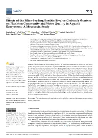Effects of the Filter-Feeding Benthic Bivalve Corbicula Fluminea