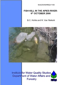 FISH KILL in the APIES RIVER: 6Th OCTOBER 2000