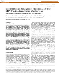 Identification and Analysis of Ribonuclease P and MRP RNA in a Broad Range of Eukaryotes Paul Piccinelli1, Magnus Alm Rosenblad1,2 and Tore Samuelsson1,*