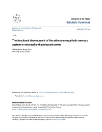 The Functional Development of the Adrenal-Sympathetic Nervous System in Neonatal and Adolescent Swine