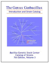 The Genus Geobacillus