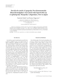 Associated with Sepioteuthis Sp