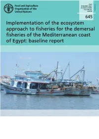 Implementation of the Ecosystem Approach to Fisheries for the Demersal Fisheries of the Mediterranean Coast of Egypt: Baseline Report