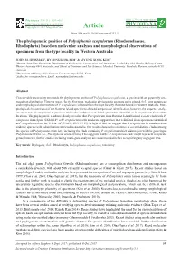 Rhodomelaceae, Rhodophyta) Based on Molecular Analyses and Morphological Observations of Specimens from the Type Locality in Western Australia
