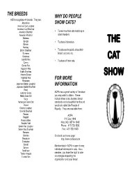 The Cat Show