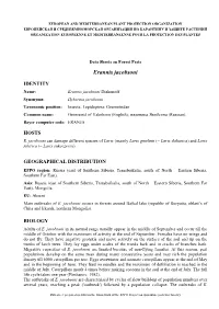 Data Sheet on Erannis Jacobsoni