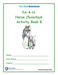 PA 4-H Horse Cloverbud Activity Book B
