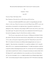 Structural and Functional Analysis of the Vaccinia Virus O1 Virulence Protein