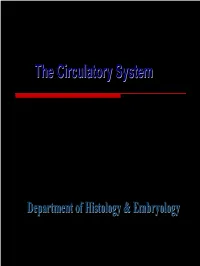 The Circulatory System