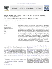 Hermit Crabs and Their Symbionts: Reactions to Artiﬁcially Induced Anoxia on a Sublittoral Sediment Bottom