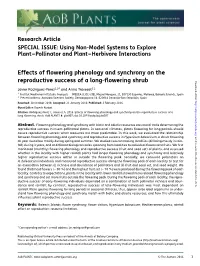 Effects of Flowering Phenology and Synchrony on the Reproductive