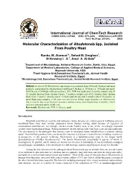 Molecular Characterization of Rhodotorula Spp. Isolated from Poultry Meat