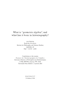 What Is “Geometric Algebra”, and What Has It Been in Historiography?